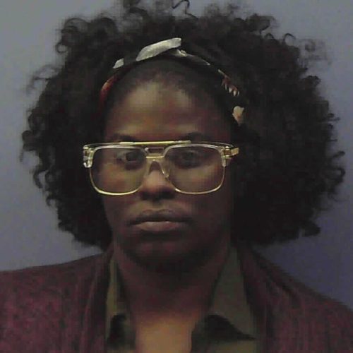 Atlanta woman stopped for speeding in Chattooga County obstructs deputy during DUI arrest