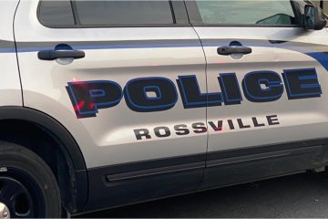 Rossville police respond to call of welfare check on dog and puppies