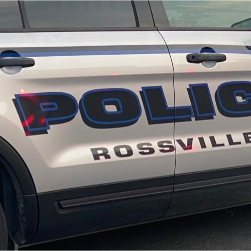 Rossville woman cited after call of a welfare check on dog and puppies