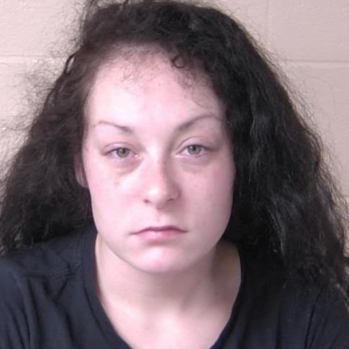 Tennessee woman arrested for DUI after 911 call regarding vehicle all over the road in Walker County