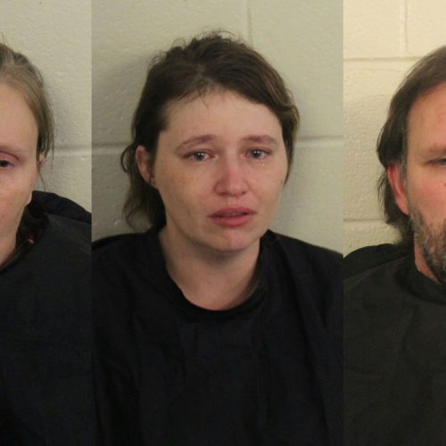 Three arrested after six kids and dog found living in horrific conditions with no food in Floyd County
