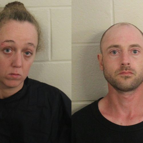 Cave Spring couple arrested after dogs found extremely malnourished chained outside in freezing temps