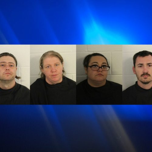 Four arrested for felony currently to animals after nearly starving dog to death in Floyd County
