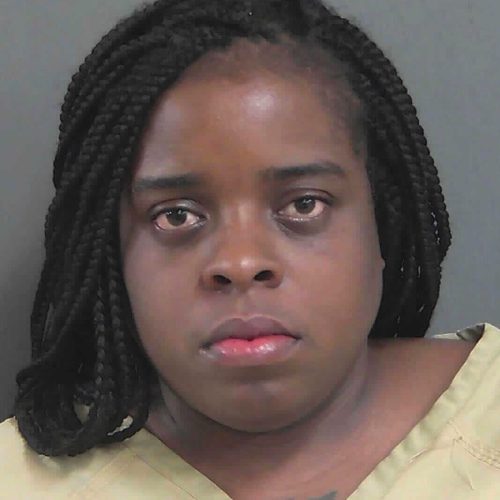 Florida woman arrested for DUI after fleeing the scene of crash and then flipping vehicle with kids on I-75