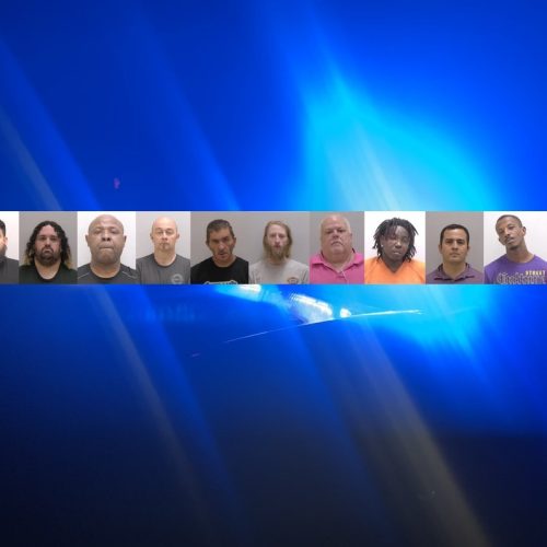12 child predators arrested in Northwest Georgia undercover child sex sting “Operation Golden Eagle”