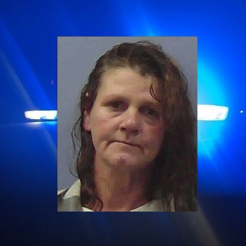 Summerville woman arrested after stealing from Espy Street man as he laid dead on the couch