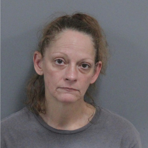 Tunnel Hill woman booked on felony charges related to April carjacking and pursuit in Fort Oglethorpe