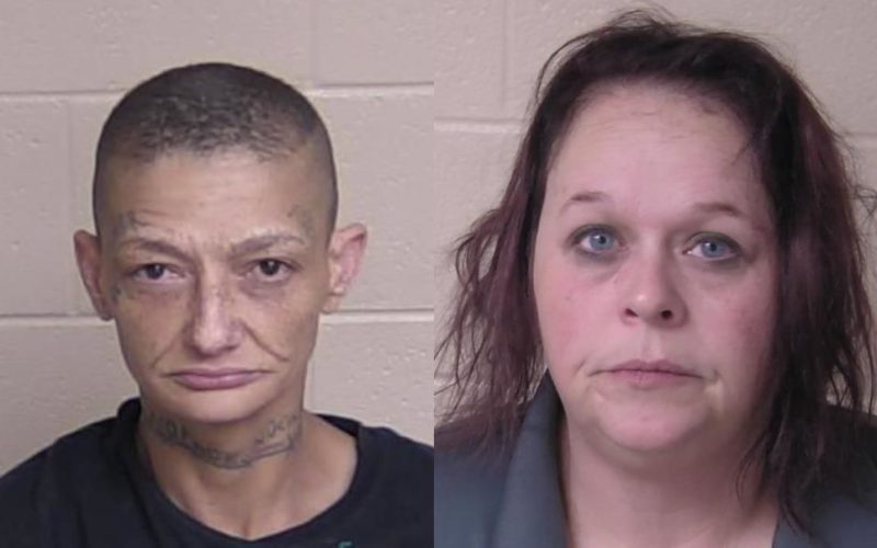 Rossville pair arrested on animal cruelty charges after dogs found living in extremely deplorable conditions